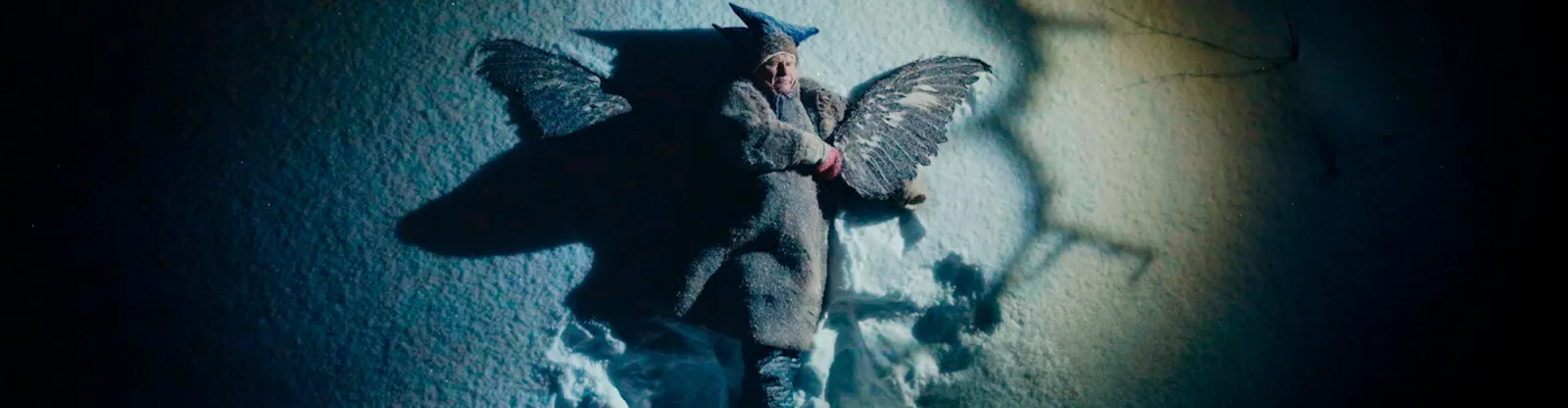 Films from the north indigenous voices